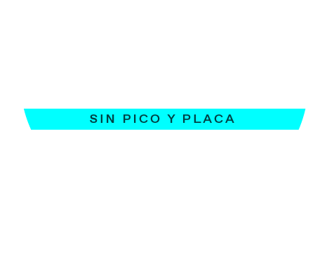 TEXTO ZS HYB