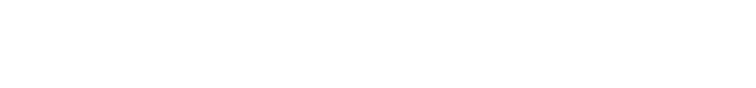 ZS HYBRID ASTERISCO