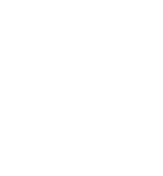 ZS HYBRID TEXTO
