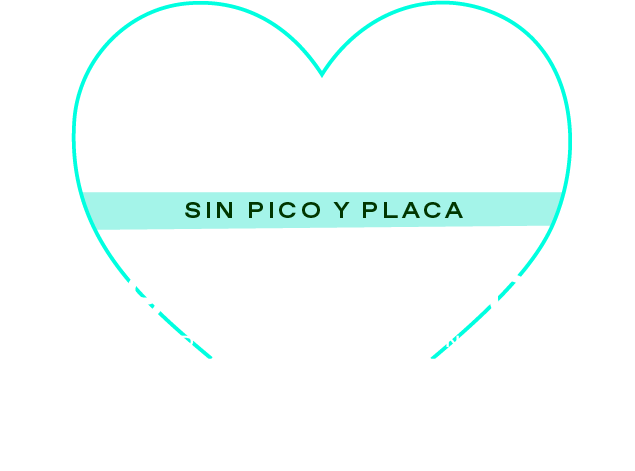 mg4 texto 99